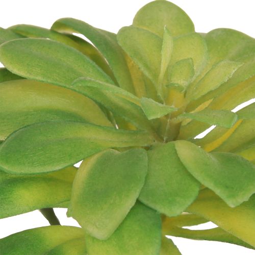 Prodotto Pianta artificiale succulenta con piccone Aeonium verde 30cm 4 pz