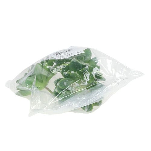 Prodotto Pietra succulenta rosa verde Ø10cm H11cm 3 pz