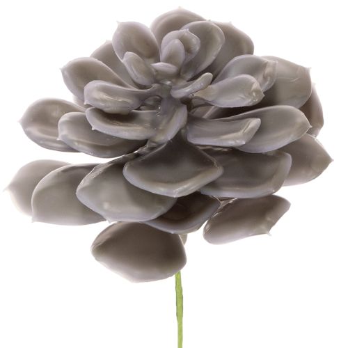 Decorazione con fiori artificiali succulenti in cera, 10 cm, 6 pezzi