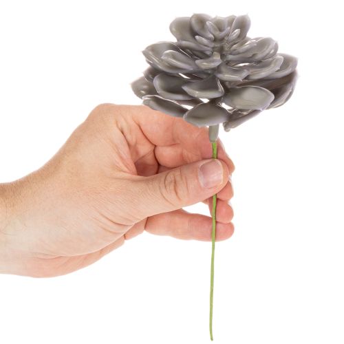 Decorazione con fiori artificiali succulenti in cera, 10 cm, 6 pezzi | Floristik24.it