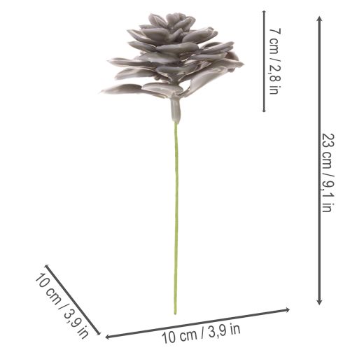 Decorazione con fiori artificiali succulenti in cera, 10 cm, 6 pezzi | Floristik24.it