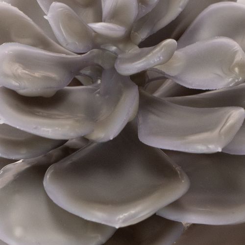 Decorazione con fiori artificiali succulenti in cera, 10 cm, 6 pezzi | Floristik24.it