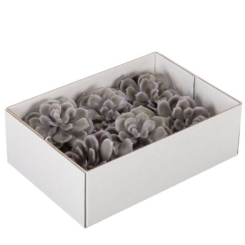 Decorazione con fiori artificiali succulenti in cera, 10 cm, 6 pezzi | Floristik24.it