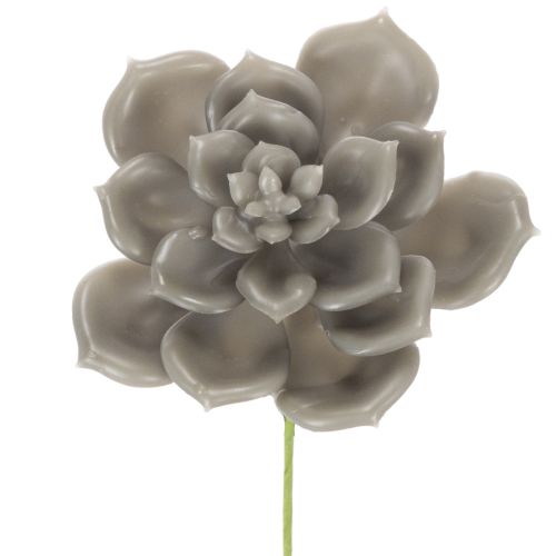 Pianta grassa artificiale in cera con filo metallico, 8 cm, 8 pezzi acquistare | Floristik24.it