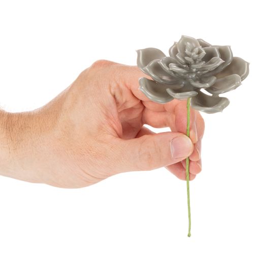 Pianta grassa artificiale in cera con filo metallico, 8 cm, 8 pezzi | Floristik24.it