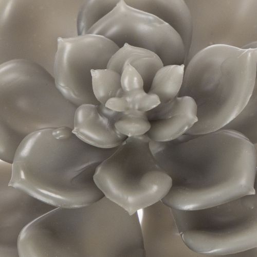 Pianta grassa artificiale in cera con filo metallico, 8 cm, 8 pezzi | Floristik24.it