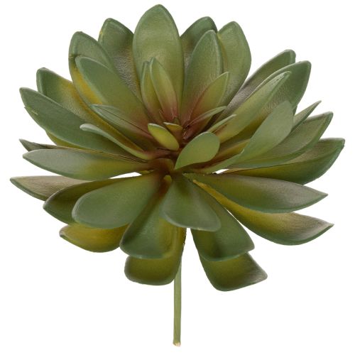 Piante grasse artificiali decorative, verdi, 18 cm, 3 pezzi