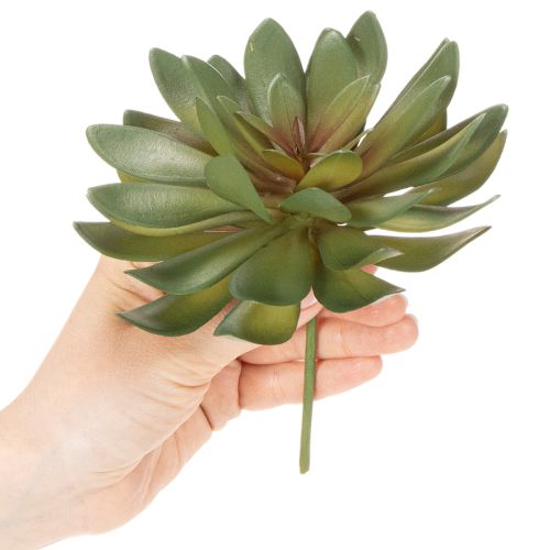 Piante grasse artificiali decorative, verdi, 18 cm, 3 pezzi | Floristik24.it