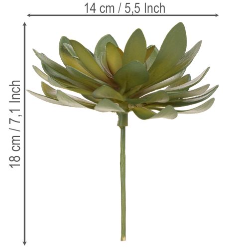 Piante grasse artificiali decorative, verdi, 18 cm, 3 pezzi | Floristik24.it