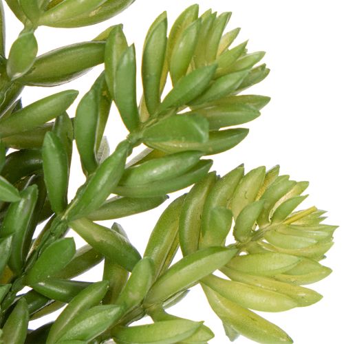 Prodotto Fiore artificiale succulento per un design a bassa manutenzione di spazi abitativi e uffici, 15 cm, 5 pezzi