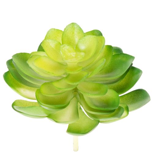 Prodotto Pianta succulenta artificiale, verde, decorativa per ciotola o vaso, 10 cm, 4 pezzi