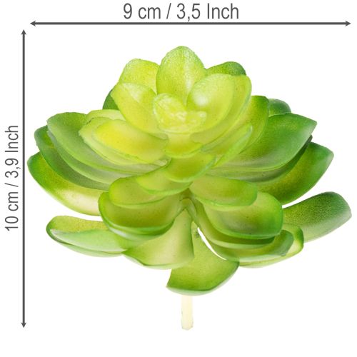 Prodotto Pianta succulenta artificiale, verde, decorativa per ciotola o vaso, 10 cm, 4 pezzi