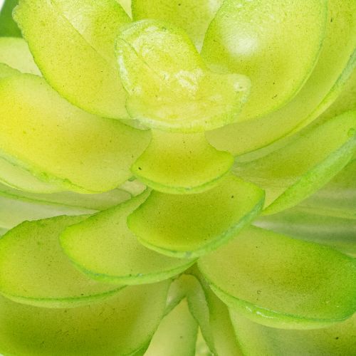 Pianta succulenta artificiale, verde, decorativa per ciotola o vaso, 10 cm, 4 pezzi | Floristik24.it