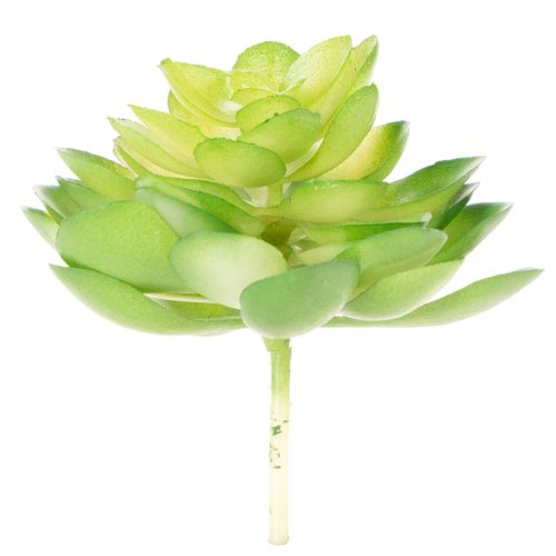 Pianta succulenta artificiale, verde, decorativa per ciotola o vaso, 10 cm, 4 pezzi | Floristik24.it