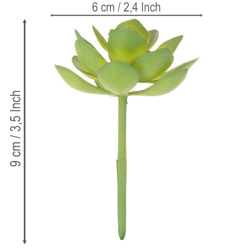 Pianta succulenta artificiale verde come decorazione per composizioni creative. | Floristik24.it