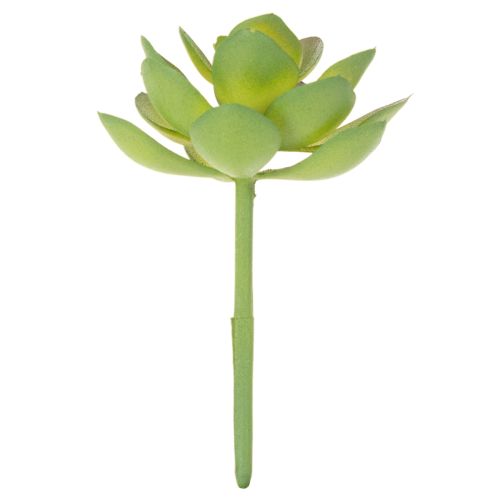Pianta succulenta artificiale verde come decorazione per composizioni creative. | Floristik24.it