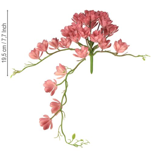 Prodotto Succulenta artificiale 28 rosette Aeonium rosa antico 43cm