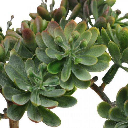 Floristik24 Succulenta artificiale da attaccare verde, rossa 12cm
