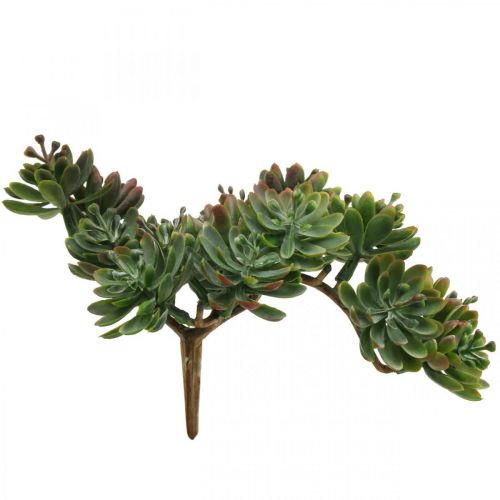 Floristik24 Succulenta artificiale da attaccare verde, rossa 12cm