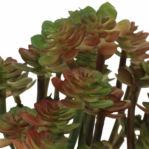 Prodotto Pianta succulenta verde artificiale 14cm