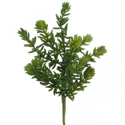 Pianta verde artificiale succulenta da attaccare 25cm verde 2 pezzi