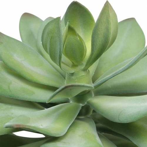 Floristik24 Pianta grassa decorativa verde artificiale Ø30cm H27cm