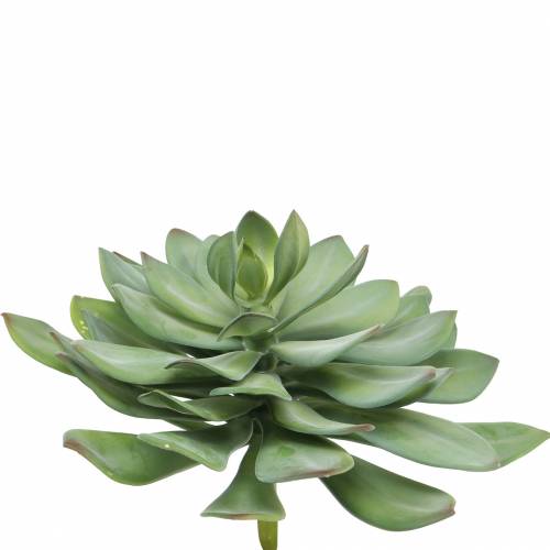 Floristik24 Pianta grassa decorativa verde artificiale Ø30cm H27cm