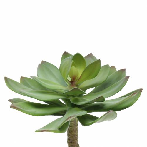 Pianta grassa artificiale verde 27cm
