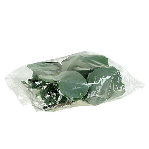 Floristik24 Stonecrop succulento L18cm 4 pezzi