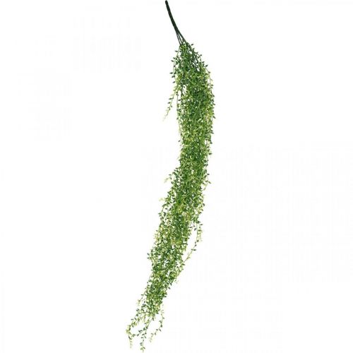 Floristik24 Succulente pianta pensile artificiale verde 96 cm