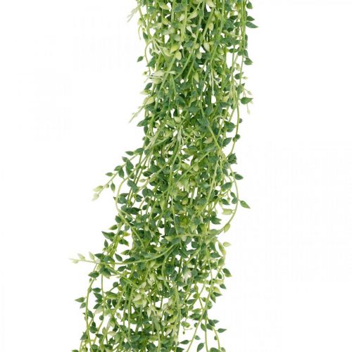 Pianta succulenta appesa artificiale verde 96 cm