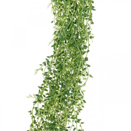 Floristik24 Succulente pianta pensile artificiale verde 96 cm