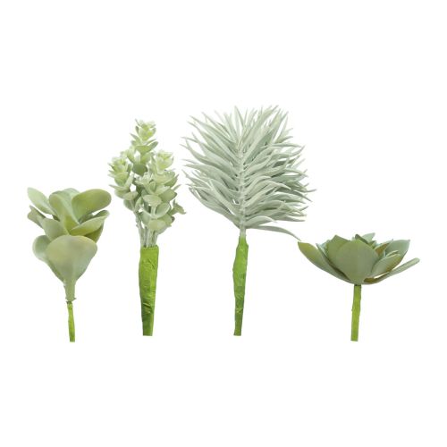 Floristik24 Piante grasse artificiali verdi verdi assortite 9-18,5 cm 4 pezzi