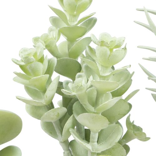 Floristik24 Piante grasse artificiali verdi verdi assortite 9-18,5 cm 4 pezzi