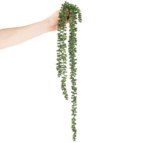 Ghirlanda di piante artificiali da appendere, decorazione con piante grasse per il soggiorno | Floristik24.it