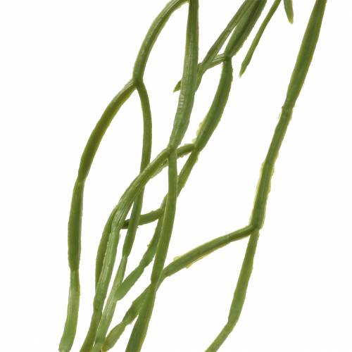 Floristik24 Succulenta artificiale sospesa verde 110 cm