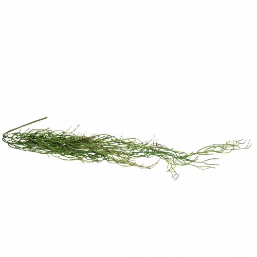 Floristik24 Succulenta artificiale sospesa verde 110 cm