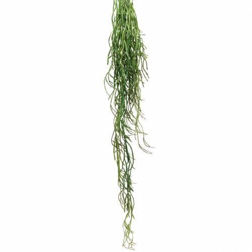 Floristik24 Succulenta artificiale sospesa verde 110 cm