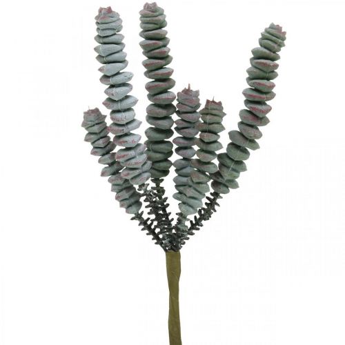 Floristik24 Succulenta artificiale verde, rossa Pianta artificiale da attaccare 19cm