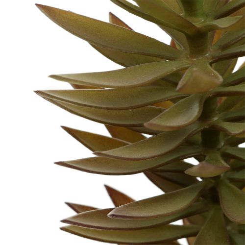 Ramo succulento marrone chiaro verde 48cm