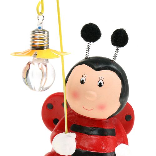 Floristik24 Figura decorativa coccinella con luce H20cm