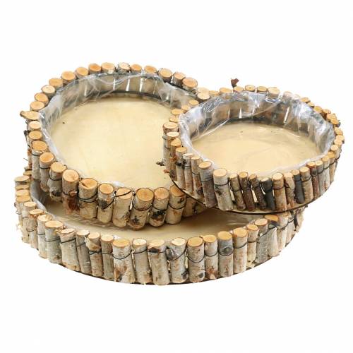 Floristik24 Vassoio rotondo per piantare betulla naturale Ø23/31/41 cm set da 3