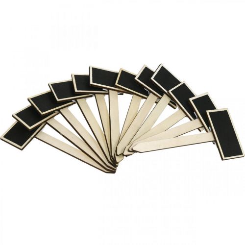 Prodotto Tavola di legno da incollare, cartello pianta, tavola per il ritorno a scuola, decorazione da tavola per matrimonio 9×4,5 cm L19,5 cm 12 pezzi