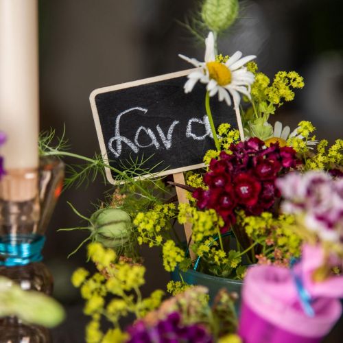 Floristik24 Tavola da incollare, tavola di legno su cui scrivere, segno vegetale, decorazione di nozze, inizio della scuola 10×7 cm L22 cm 12 pezzi