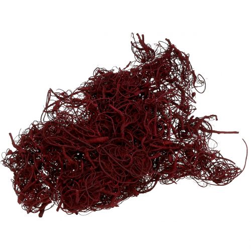 Floristik24 Fibra di Tamarindo 500g Vino Rosso