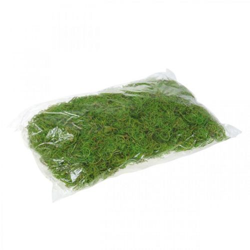 Prodotto Fibra di Tamarindo Fibra Naturale Verde Chiaro per Artigianato e Decorazione 500g