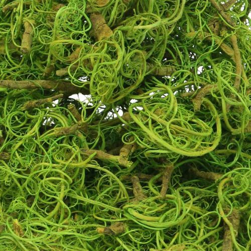 Prodotto Fibra di Tamarindo Fibra Naturale Verde Chiaro per Artigianato e Decorazione 500g