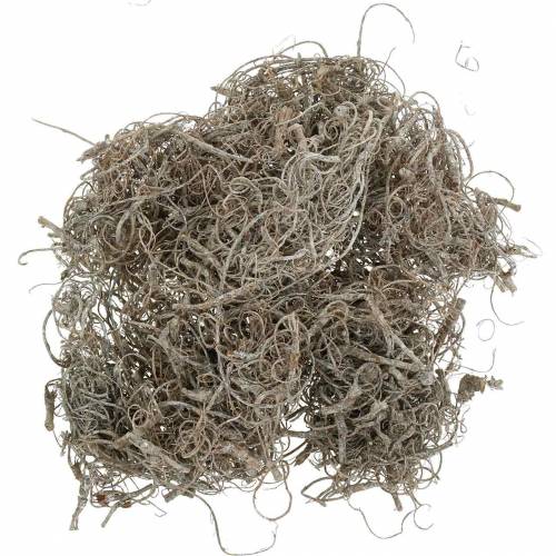 Floristik24 Fibra di Tamarindo naturale lavato bianco 500g