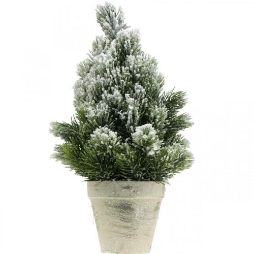 Floristik24 Mini albero di Natale in vaso innevato artificialmente Ø18cm H32cm