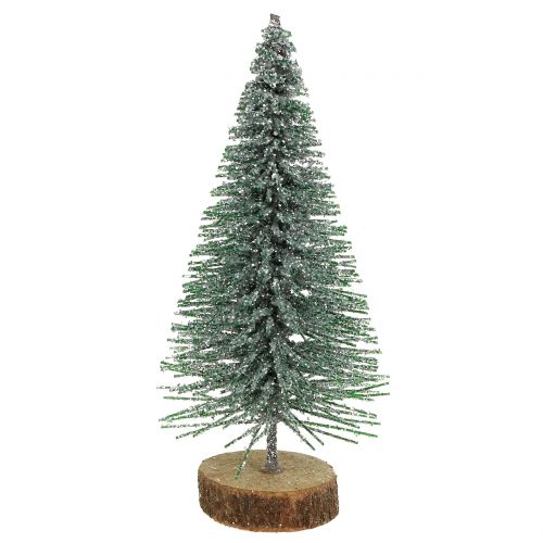 Floristik24 Abete argento 8 cm 24 pz